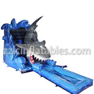 bounce house water slide